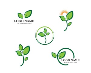 green leaf ecology nature element vector icon of go green