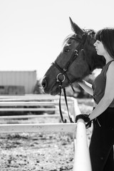 Obraz premium female rider takes care of her horse in stable
