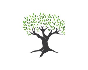 Tree leaf vector logo design, eco-friendly
