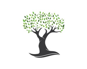 Tree leaf vector logo design, eco-friendly