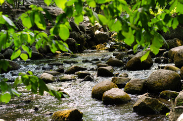 park Oliwa in Gdansk, Poland