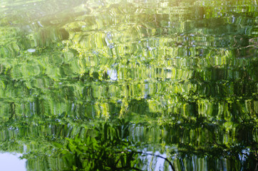 ripple water green background