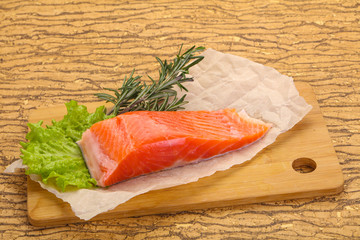 Piece of raw salmon