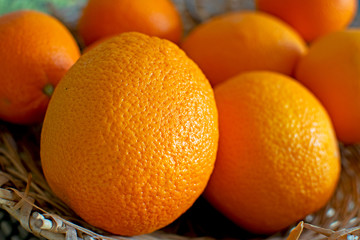 Bright orange fruits background, many orange fruits.