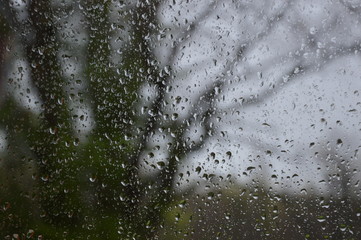 Rain drops on the window with forest background