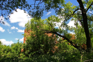 Ruins old manor house, Russia