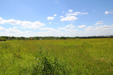 fields of Russa