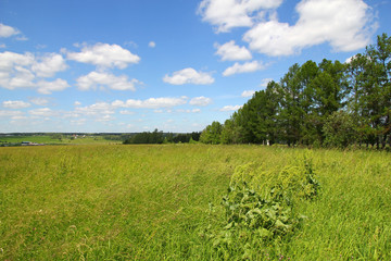 Fototapeta premium fields of Russa