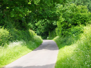 Harrow Way - South East Basingstoke