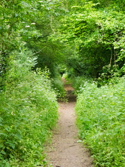 Harrow Way - West Andover
