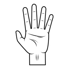 hand showing five fingers