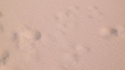 Shoe print on the sand