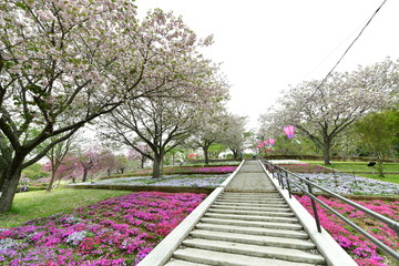 静峰ふるさと公園