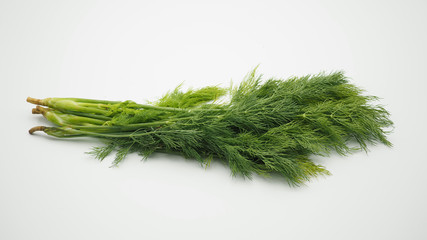 Fresh Dill isolated on white background