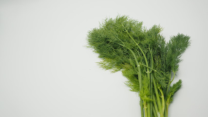 Fresh Dill isolated on white background