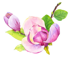 Spring composition with watercolor magnolia. Floral purple illustrations with realistic flowers on white background for your design and decor.