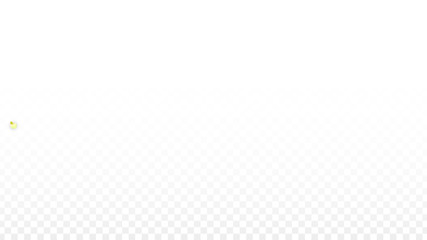 Vector Realistic Pink Petals Falling on Transparent Background.  Spring Romantic Flowers Illustration. Flying Petals. Sakura Spa Design. Blossom Confetti.