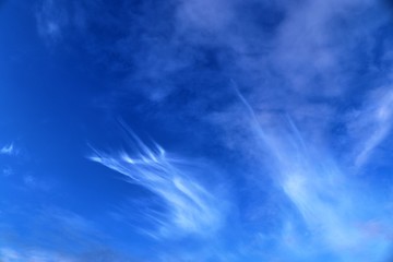Beautiful white cirrus clouds high in a deep blue sky