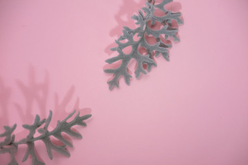 Juicy bright saturated greenery on a pink background. The large leaves of the flower.