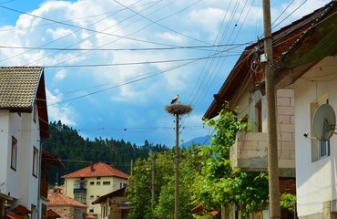 Fototapeta na wymiar rural life in Bulgaria