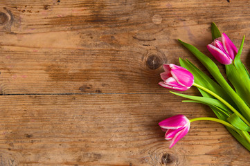 Fototapeta na wymiar Beautiful pink tulips flowers on the wooden table