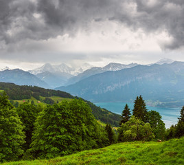 Lake Brienz summer top view (Switzerland).
