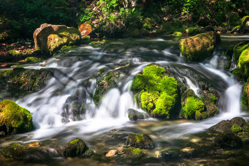 Fototapeta na wymiar Mountain river with streams like small waterfalls in the forest. Wellhead of river Grza in Serbia in spring.