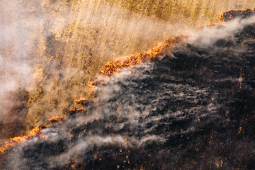 Aerial drone view of the flame in the dry grass, burnt ground and heavy smoke. Fire in natural...