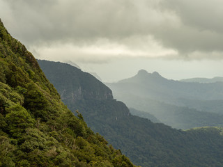 Rain Forest Mountains and Moody Weather