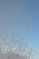 A close-up of beautiful ice flowers on a window, blue sky in the background © E-lona