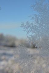 A close-up of beautiful ice flowers on a window, blue sky in the background