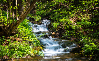 Mountain river with streams like small waterfalls in the forest. Wellhead of river Grza in Serbia in spring.