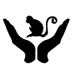 Vector silhouette of a hand in a defensive gesture protecting a monkey. Symbol of animal, wild,africa, nature, humanity, care, protection, veterinary.