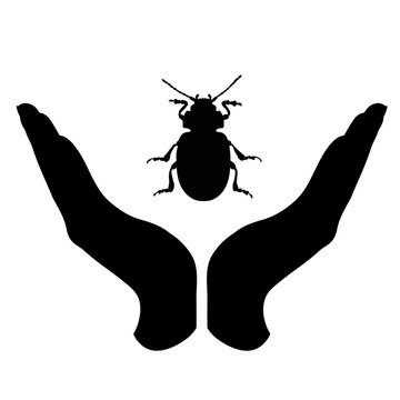 Vector silhouette of a hand in a defensive gesture protecting a beatle. Symbol of animal, insect, nature, humanity, care, protection.