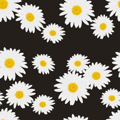 Beautiful floral seamless pattern with daisies on the black background vector
