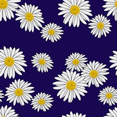 Beautiful floral seamless pattern with daisies on the black background vector