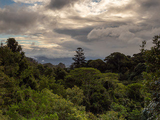 Rain Forest Mountains and Moody Weather