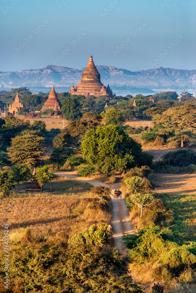 Wall mural ancient land of bagan with many of old and ruin pagoda over 200 year from shwesandaw temple, bagan ,