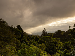 Rain Forest Mountains and Moody Weather