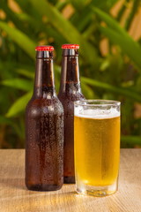 Brown beer bottles on a table on a green background