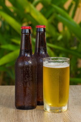 Brown beer bottles on a table on a green background