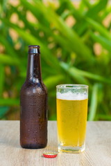 Brown beer bottles on a table on a green background
