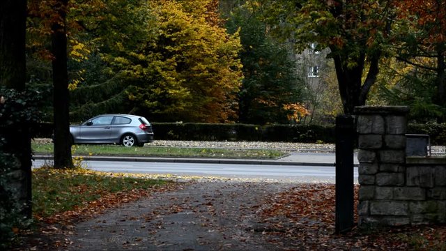 Autumnal Impressions from City Park (Fennsee) in Berlin Wilmersdorf from October 25, 2016, Germany 