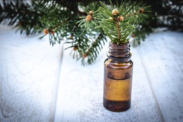 Essential coniferous oil in a dark bottle, a bottle of extract, a pine branch in a bottle.