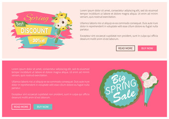 Sale, discount and best offer, label for springtime promotion and advertising, daisy bouquet. Advertisement decorated by flowers, greeting for ladies vector. Website with links buy and read now