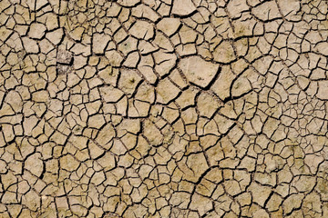 texture of dry crack on the ground in drought season