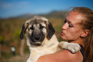 Blonde girl playing with spanish mastiff puppy
