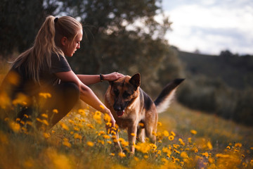 Blonde girl playing with german shepherd dog in a field of yellow flowers