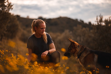 Blonde girl playing with german shepherd dog in a field of yellow flowers