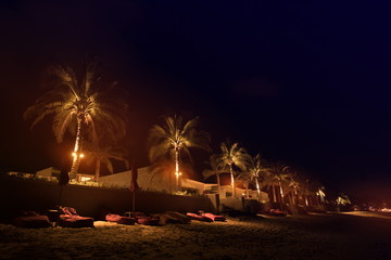 Night views of the beach, palm trees, sun beds and sea